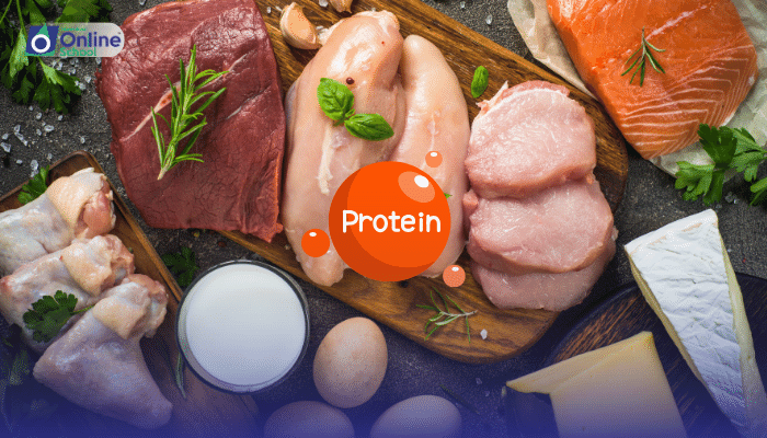 Lesson 17: Examples and Roles of Structural and Functional Proteins